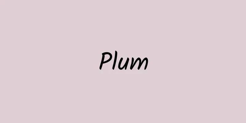 Plum