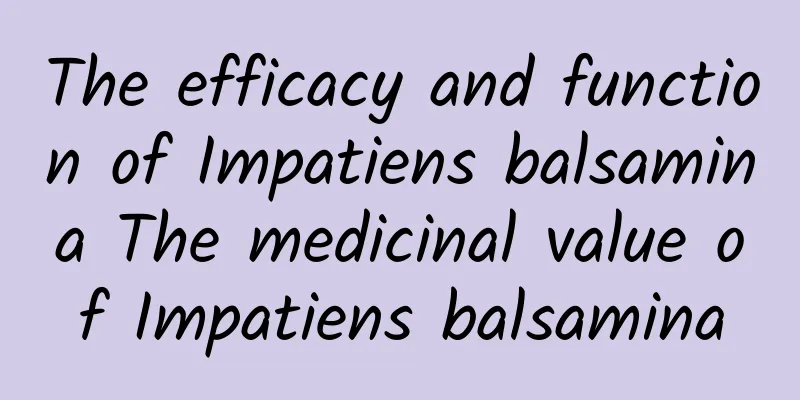 The efficacy and function of Impatiens balsamina The medicinal value of Impatiens balsamina