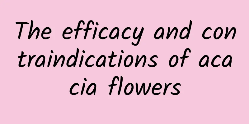 The efficacy and contraindications of acacia flowers