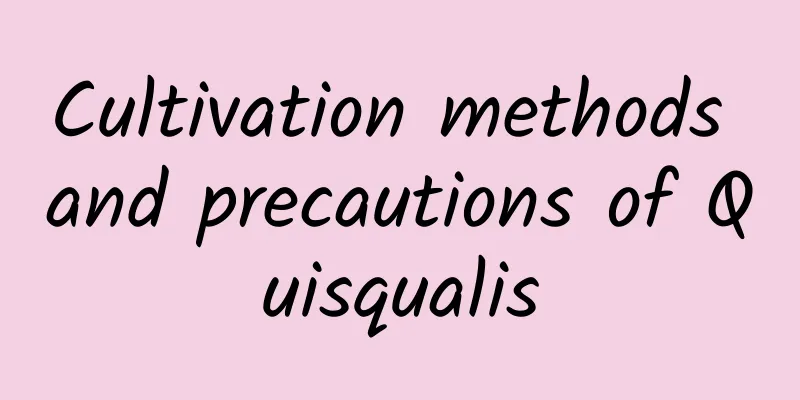 Cultivation methods and precautions of Quisqualis