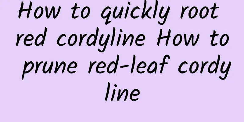 How to quickly root red cordyline How to prune red-leaf cordyline