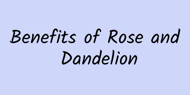 Benefits of Rose and Dandelion