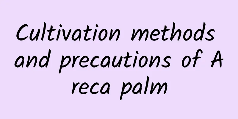 Cultivation methods and precautions of Areca palm