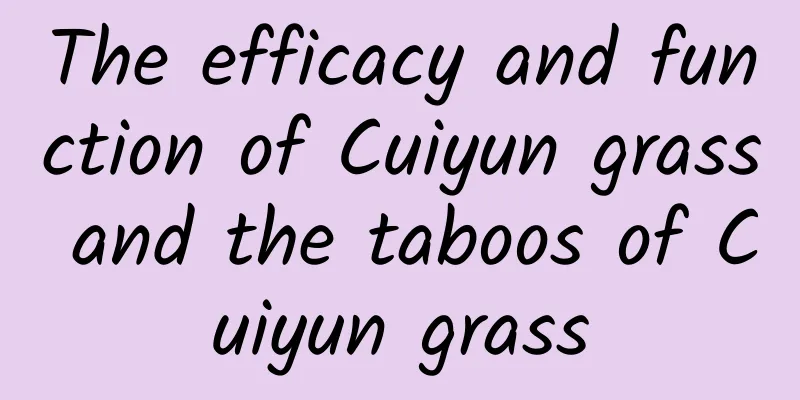 The efficacy and function of Cuiyun grass and the taboos of Cuiyun grass