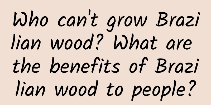 Who can't grow Brazilian wood? What are the benefits of Brazilian wood to people?