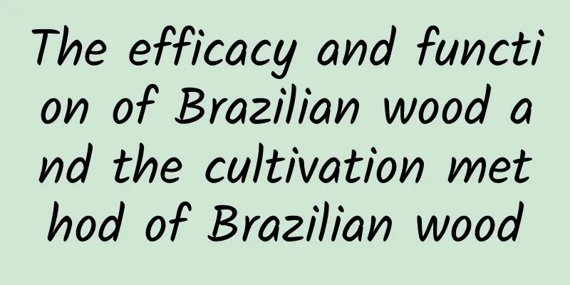 The efficacy and function of Brazilian wood and the cultivation method of Brazilian wood