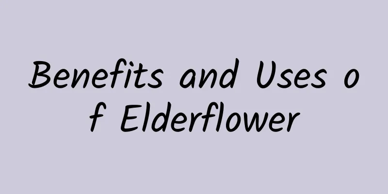 Benefits and Uses of Elderflower