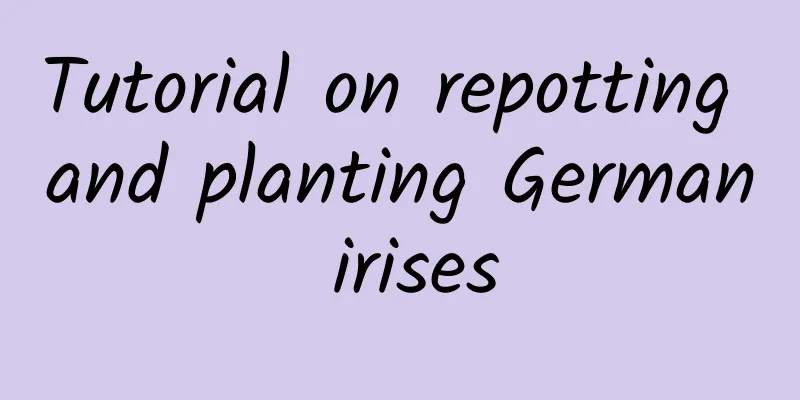 Tutorial on repotting and planting German irises