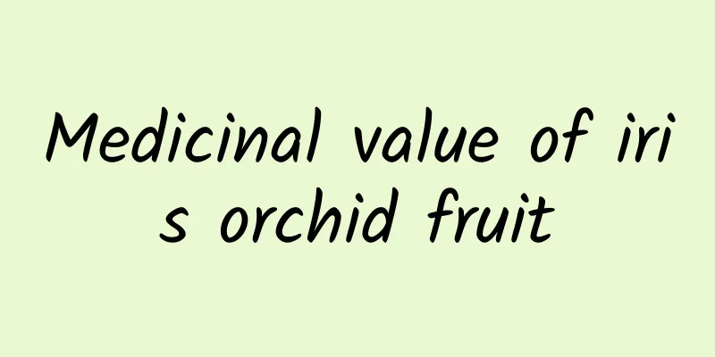 Medicinal value of iris orchid fruit