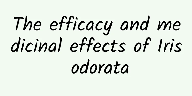 The efficacy and medicinal effects of Iris odorata