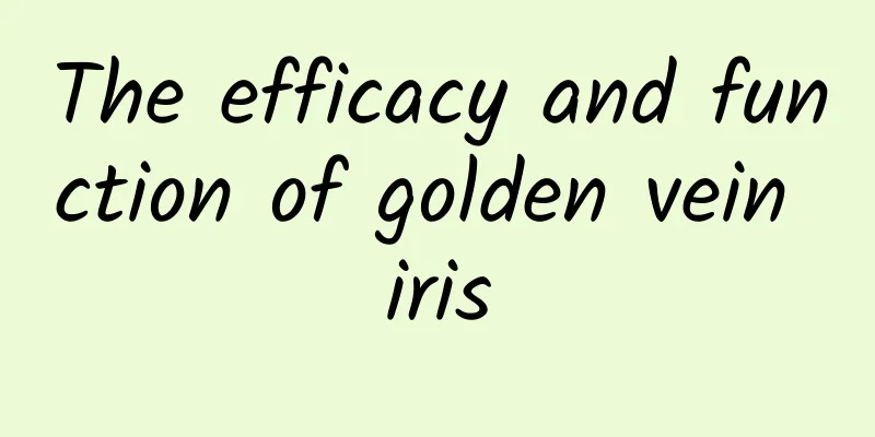 The efficacy and function of golden vein iris