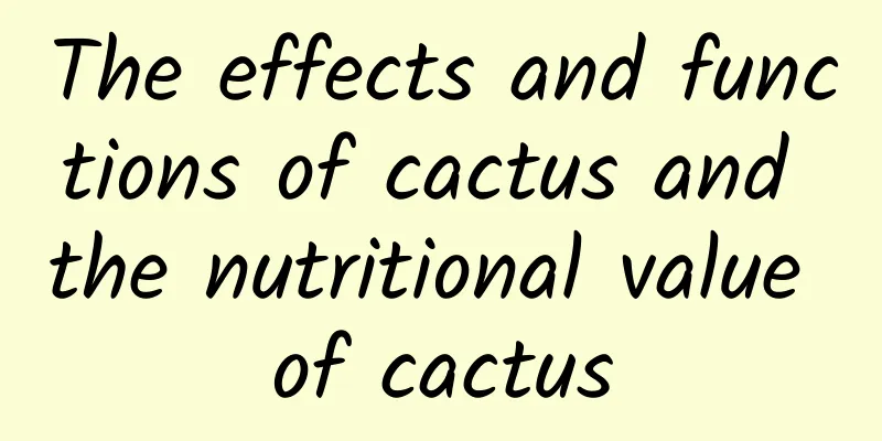 The effects and functions of cactus and the nutritional value of cactus