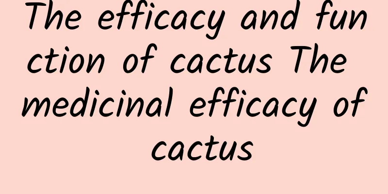 The efficacy and function of cactus The medicinal efficacy of cactus