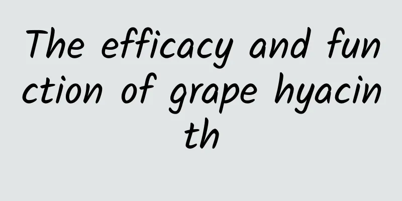 The efficacy and function of grape hyacinth