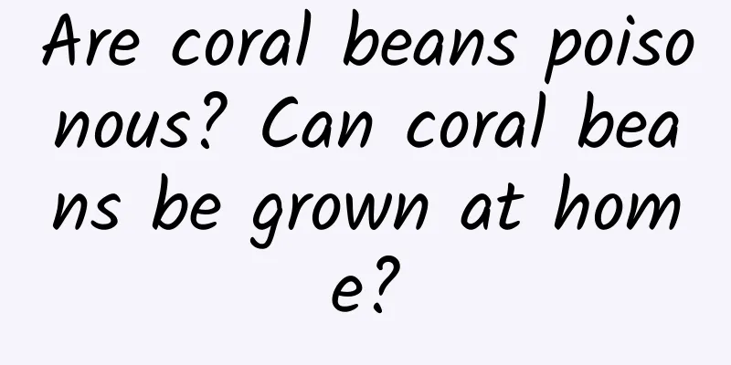 Are coral beans poisonous? Can coral beans be grown at home?