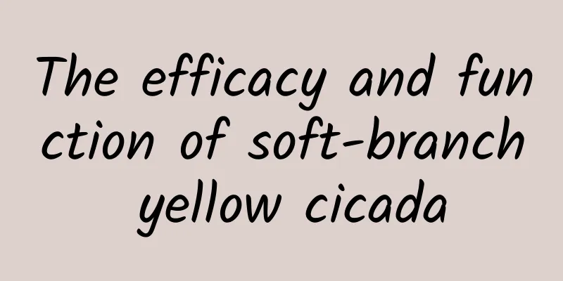 The efficacy and function of soft-branch yellow cicada