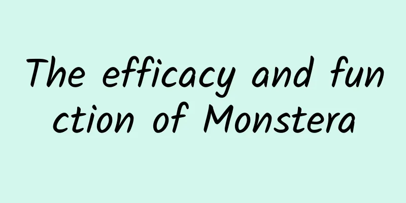 The efficacy and function of Monstera