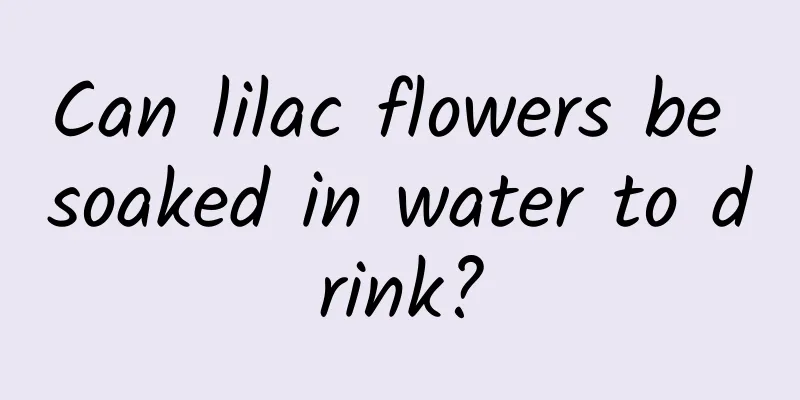 Can lilac flowers be soaked in water to drink?