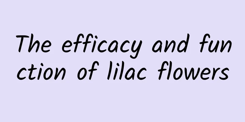 The efficacy and function of lilac flowers