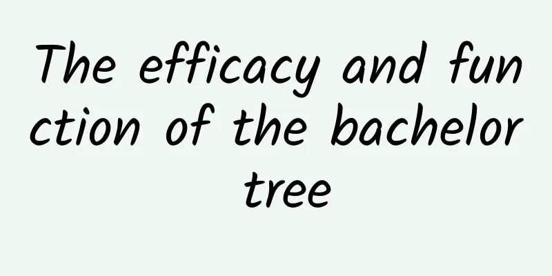 The efficacy and function of the bachelor tree