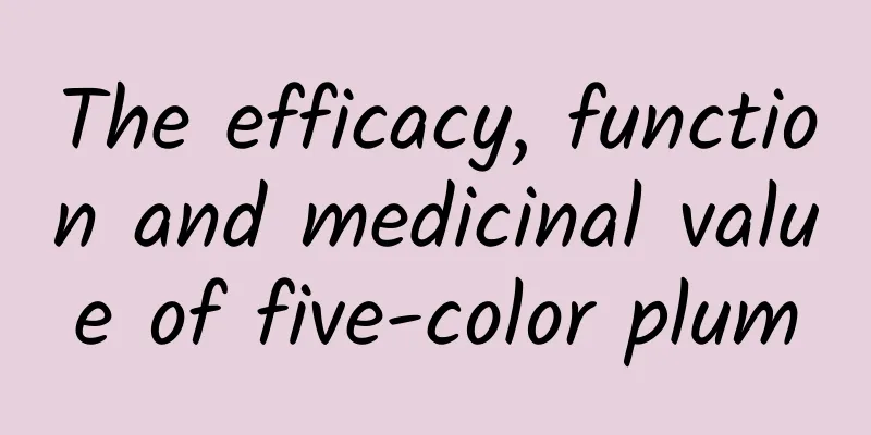 The efficacy, function and medicinal value of five-color plum