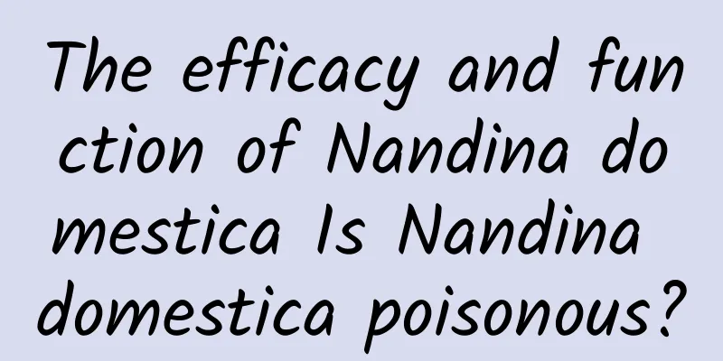 The efficacy and function of Nandina domestica Is Nandina domestica poisonous?