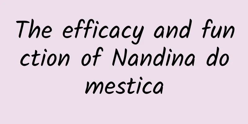 The efficacy and function of Nandina domestica