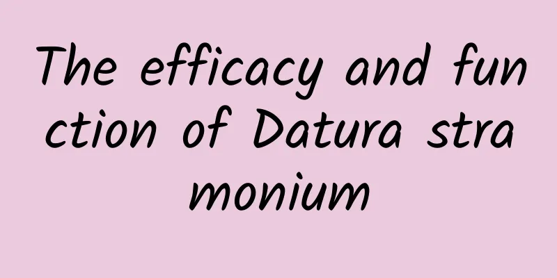 The efficacy and function of Datura stramonium