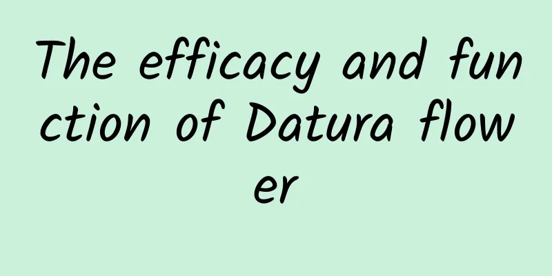 The efficacy and function of Datura flower