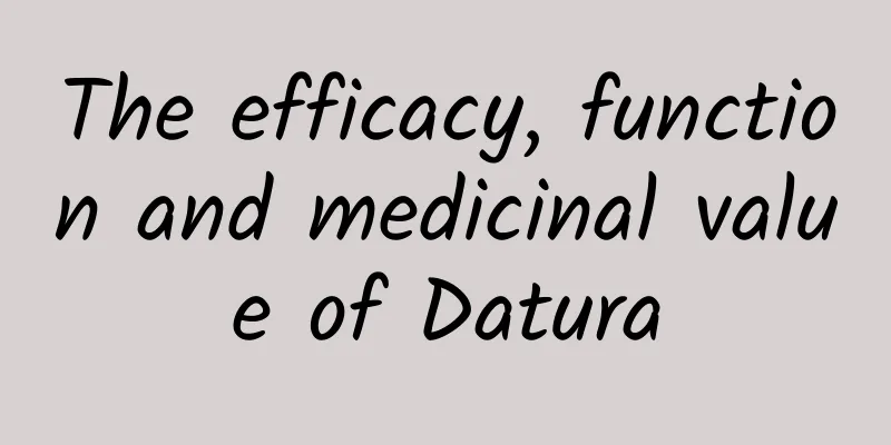 The efficacy, function and medicinal value of Datura