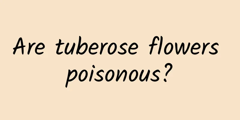 Are tuberose flowers poisonous?