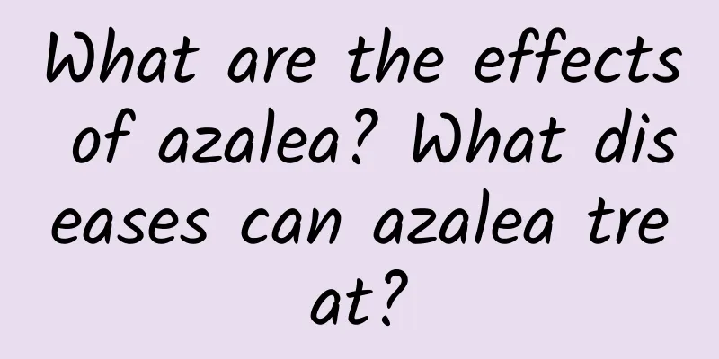 What are the effects of azalea? What diseases can azalea treat?