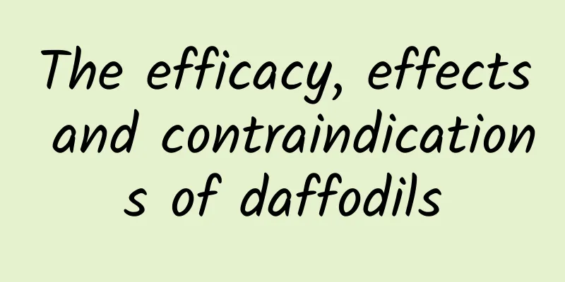 The efficacy, effects and contraindications of daffodils