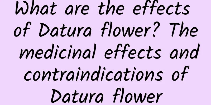 What are the effects of Datura flower? The medicinal effects and contraindications of Datura flower