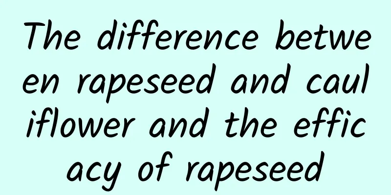 The difference between rapeseed and cauliflower and the efficacy of rapeseed