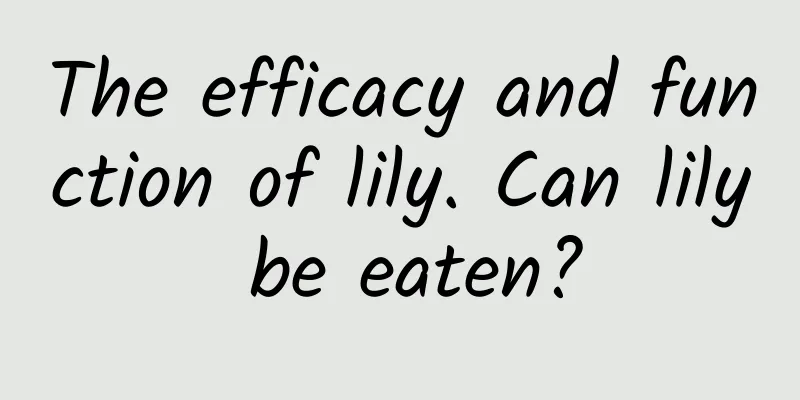 The efficacy and function of lily. Can lily be eaten?