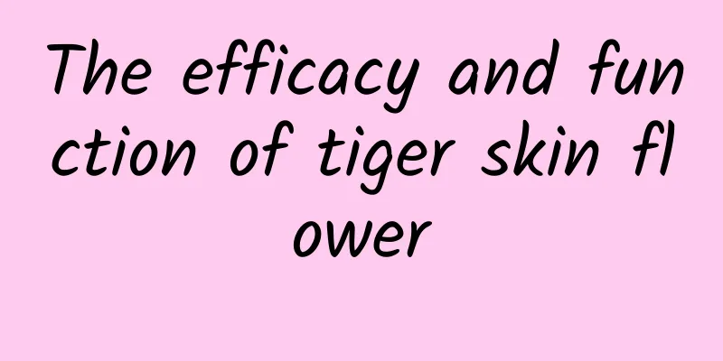 The efficacy and function of tiger skin flower