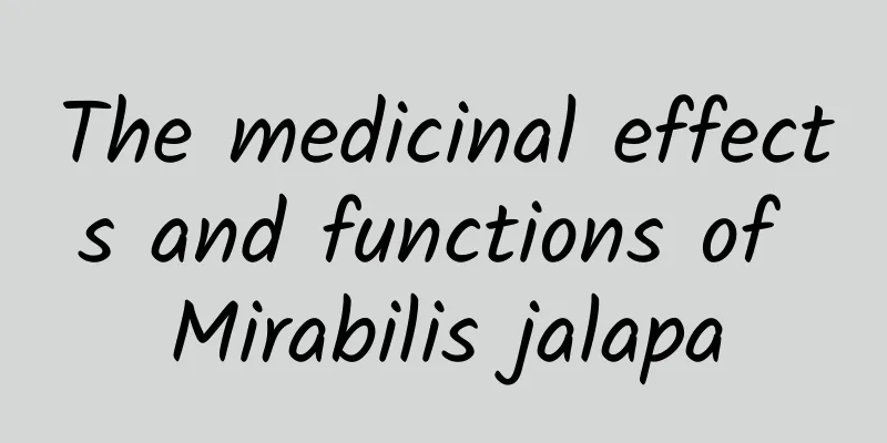 The medicinal effects and functions of Mirabilis jalapa