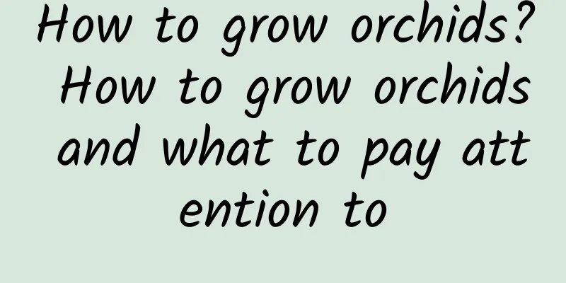 How to grow orchids? How to grow orchids and what to pay attention to