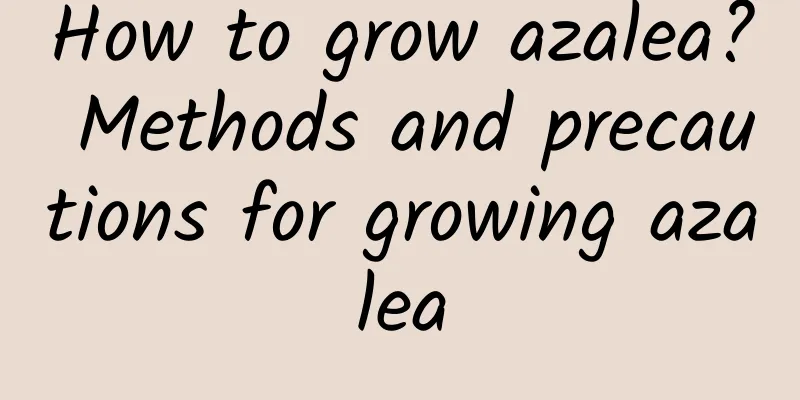 How to grow azalea? Methods and precautions for growing azalea