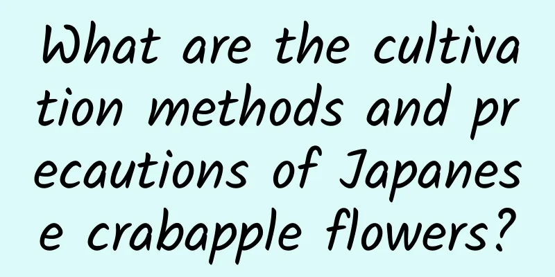 What are the cultivation methods and precautions of Japanese crabapple flowers?