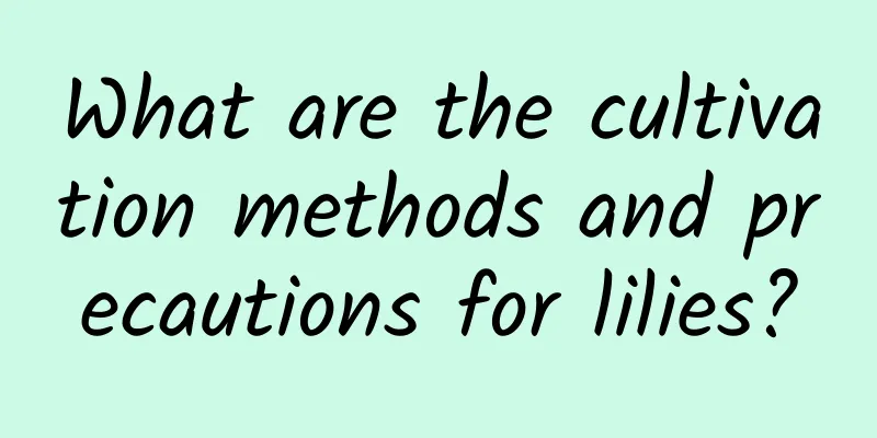 What are the cultivation methods and precautions for lilies?