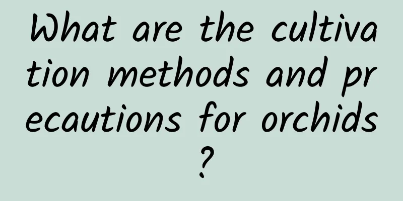 What are the cultivation methods and precautions for orchids?