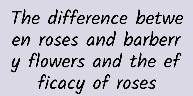 The difference between roses and barberry flowers and the efficacy of roses