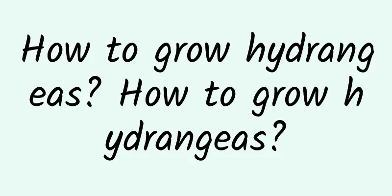 How to grow hydrangeas? How to grow hydrangeas?