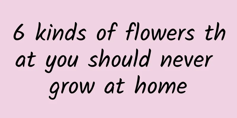 6 kinds of flowers that you should never grow at home