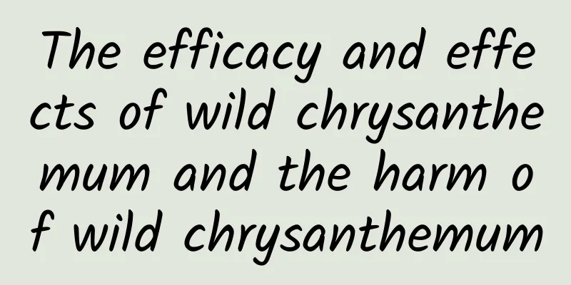 The efficacy and effects of wild chrysanthemum and the harm of wild chrysanthemum