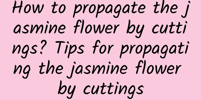 How to propagate the jasmine flower by cuttings? Tips for propagating the jasmine flower by cuttings