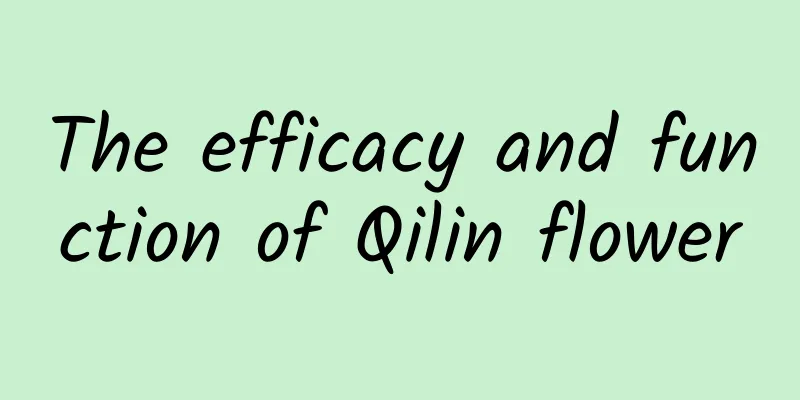 The efficacy and function of Qilin flower