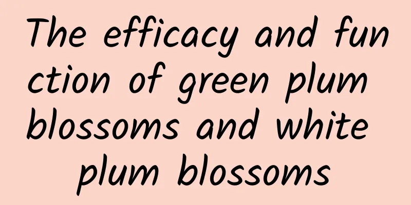 The efficacy and function of green plum blossoms and white plum blossoms